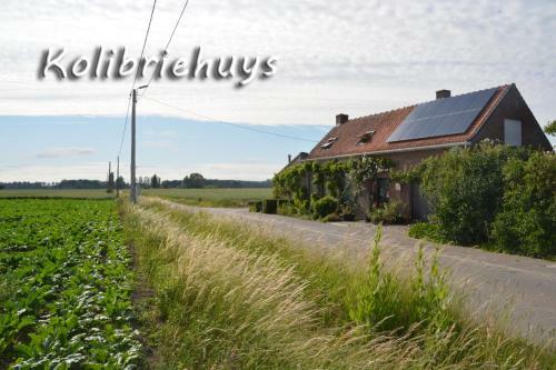 Hostal Guesthouse Kolibriehuys