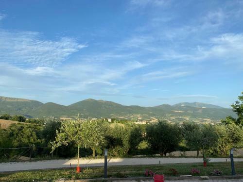 Casa Vacanze Fra Gli Ulivi