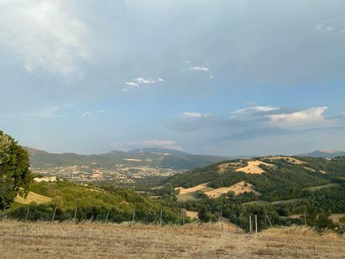 Casa Vacanze Fra Gli Ulivi