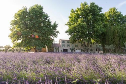 Villa Bastide Des Lavandins