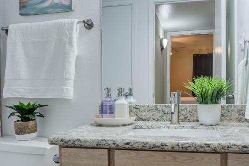 Apartamento *hidden Gem* Cozy 1 Bd Nrg/tmc/dt/zoo/museums
