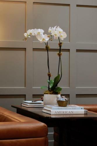 Apartamento The Thomas Hotel - Garden Suite 2-bedroom - 01