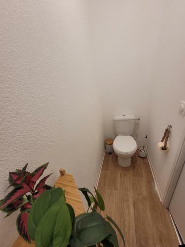 Apartamento Soleil Couchant E.03