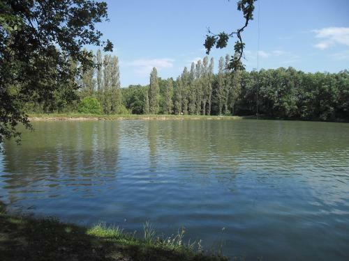 Apartamento Appartement Avec Piscine Dans R�sidence De Vacances