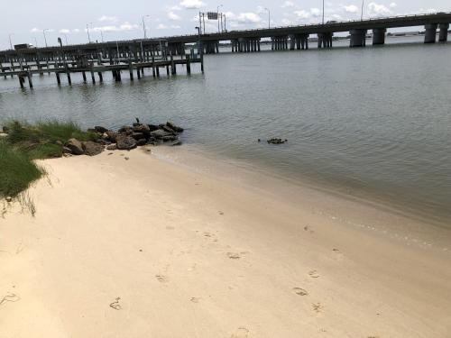 Harbor Delight On The Bay - Private Sandy Beach! Home