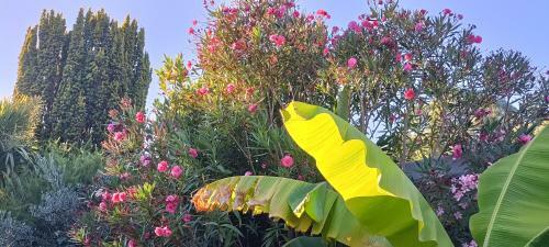 Villa Maison Cocooning, Bord De S�vre Nantaise
