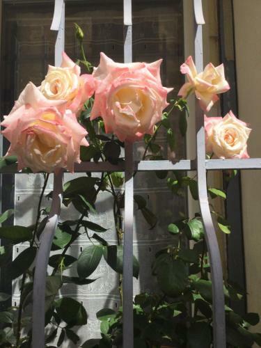 Hostal Maison Historique Chambre H�te