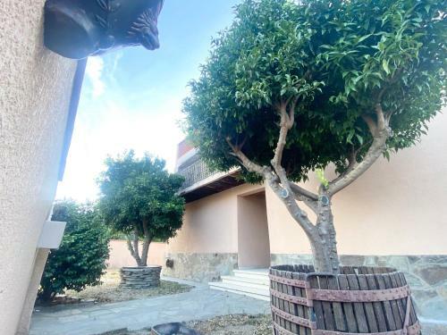 Maison Spacieuse, Jardin, Proche Centre Ville