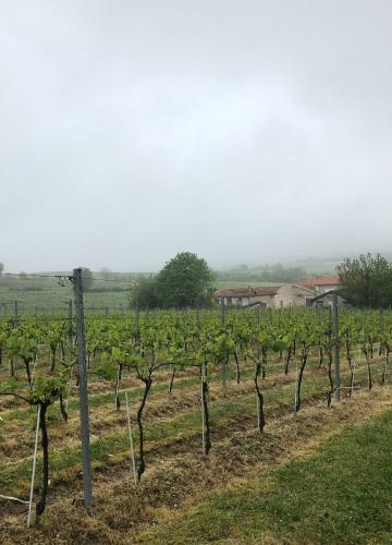 Bed & Breakfast Les Ombrieres