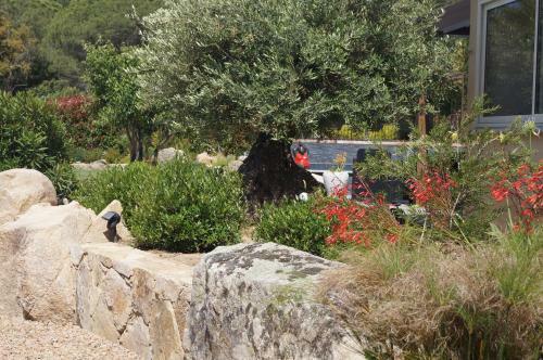 Hostal Room In Bb - Santa Giulia - Charming Bed And Breakfast With Breakfast Included 3