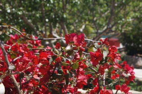 Hostal Room In Bb - Santa Giulia - Charming Bed And Breakfast With Breakfast Included 5