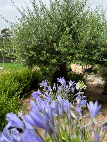 Hostal Room In Bb - Santa Giulia - Charming Bed And Breakfast With Breakfast Included 5
