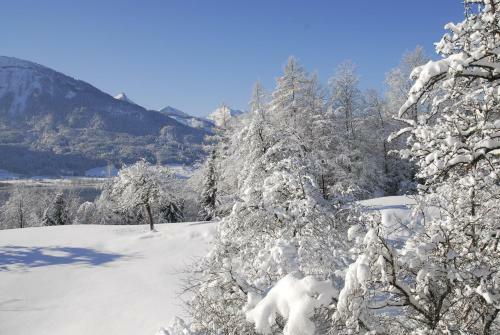 Apartamento Am Buchberghof