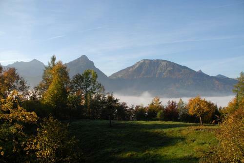 Apartamento Am Buchberghof