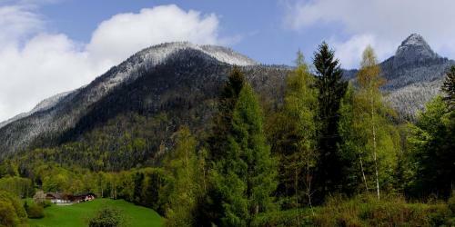Apartamento Am Buchberghof