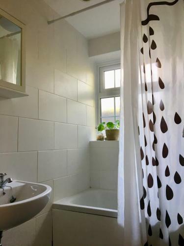 Bodriggy Barn Holiday Cottage Near St Ives