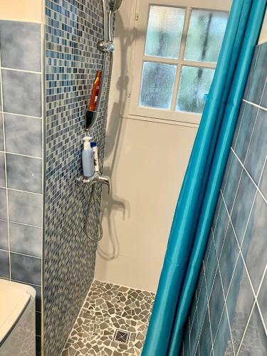 Apartamento Rez-de Villa Piscine