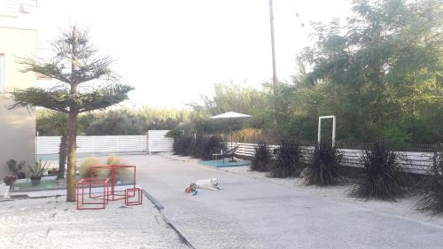 Apartamento 3 Olive Trees