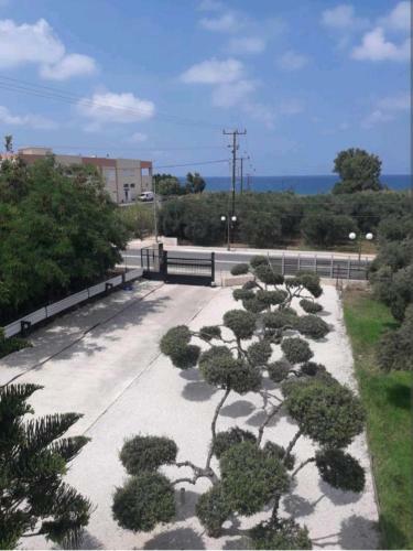 Apartamento 3 Olive Trees