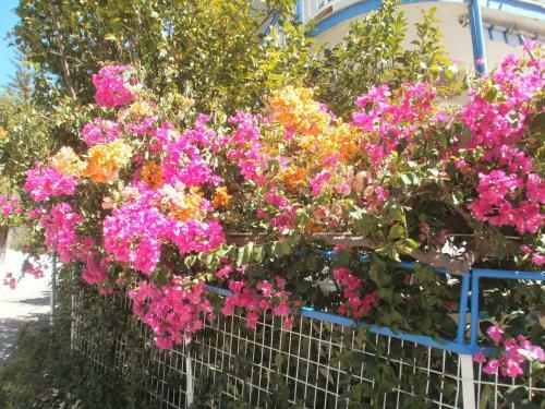 Seaview- 2 Space - Selfcatering Apartment - Helen No 3