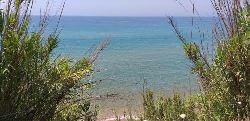 Front Of The Beach