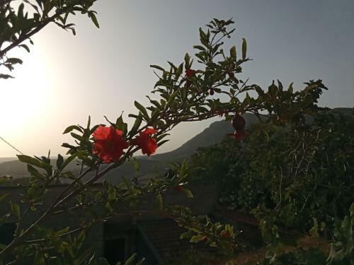 Casa Vacanza San Felice