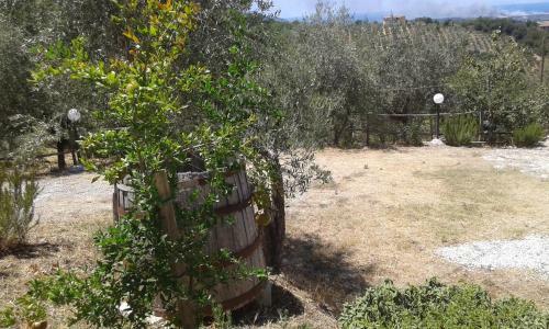 Casa Vacanza San Felice