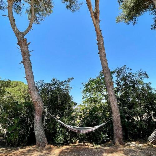 Casa Vacanze Capurre "trulli E Pajare A Due Passi Dal Pizzo"