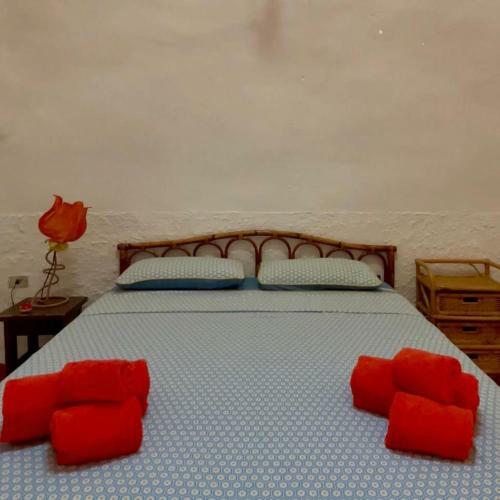 Casa Vacanze Capurre "trulli E Pajare A Due Passi Dal Pizzo"