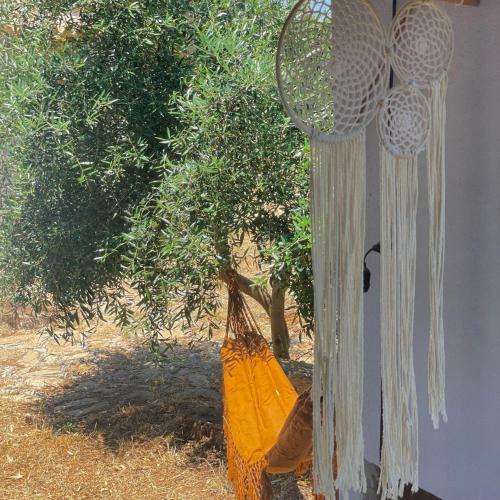Casa Vacanze Capurre "trulli E Pajare A Due Passi Dal Pizzo"