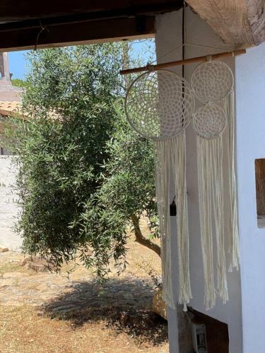 Casa Vacanze Capurre "trulli E Pajare A Due Passi Dal Pizzo"