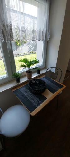 Apartamento Pokoje U Camili
