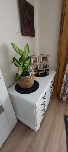 Apartamento Pokoje U Camili