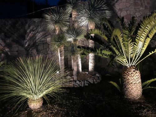 Villa A Dream Ischia Resort