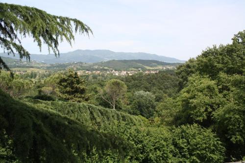 Bed & Breakfast Villa "l'unica "