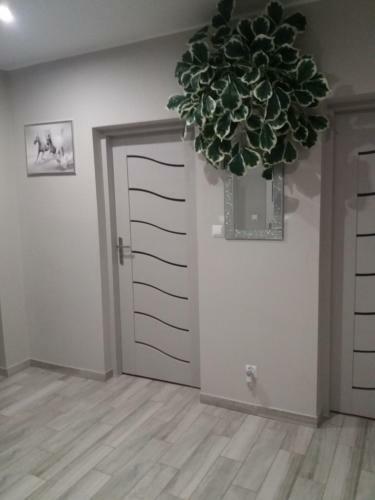 Hostal Pokoje Na Wynajem