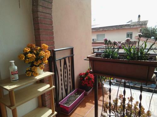 Bed & Breakfast La Casa Del Cuore