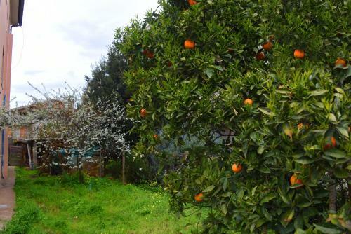 Bed & Breakfast La Casa Del Cuore