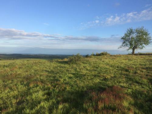 Domaine Les Sauges