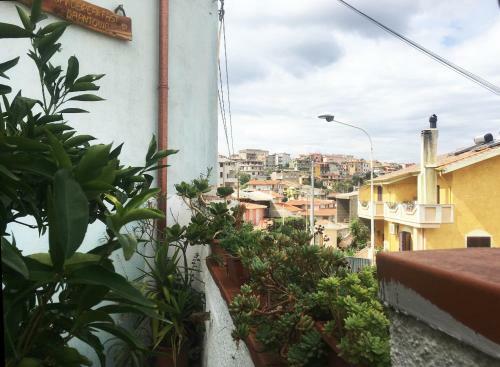 Bed And Breakfast Da Antonio - Orgosolo