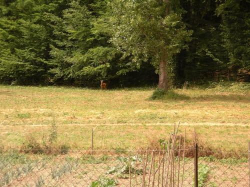 Proche Beauval Grange R�nov�e 4-5 Personnes