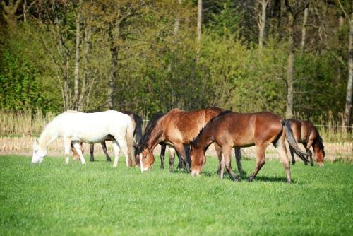 Agroturismo Filippus Vakantiehoeve