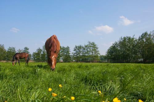 Agroturismo Filippus Vakantiehoeve