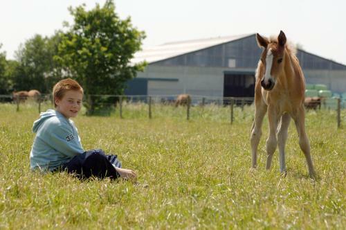Agroturismo Filippus Vakantiehoeve