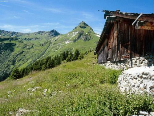Apartamento Neumayer
