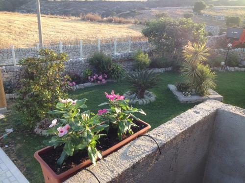 Agroturismo Casa Vacanze Agriturismo Cilone