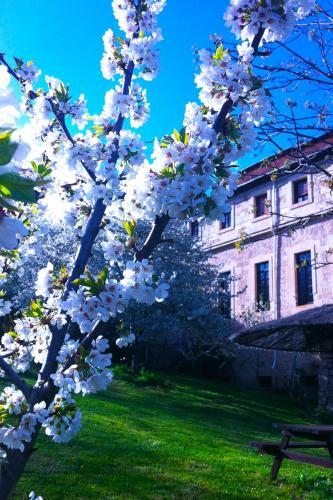 Hotel Arte Y Natura Valdivielso