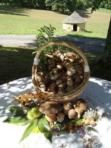 Bed & Breakfast L'or�e Du Bois