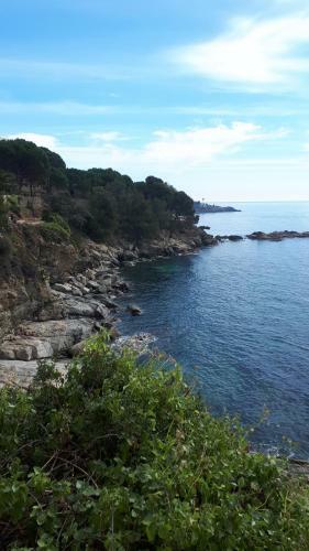 Apartamento Rosas-puig Rom -vista Mar