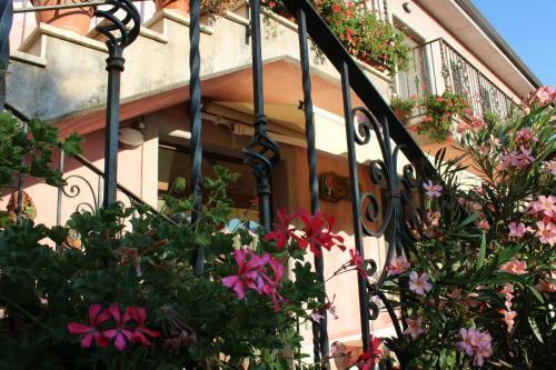 Agroturismo Casale Degli Ulivi